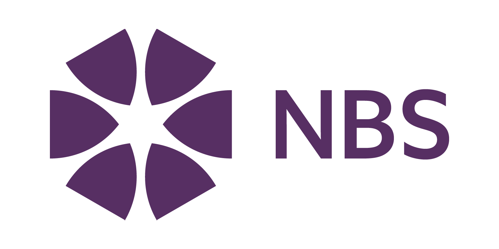 NBS Services Logo